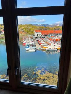 Arran Nordkapp - Honningsvåg - 8