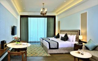 Hotel De Infinity Near IGI Airport Free Airport Drop - New Delhi - 4