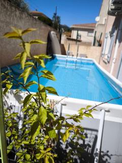 Sud Bastia 50 m2 privé avec jacuzzi et piscine - Monte - 7