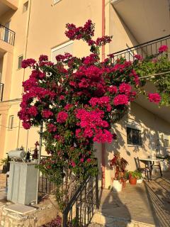 Guesthouse Mateo - Dhërmi - 7