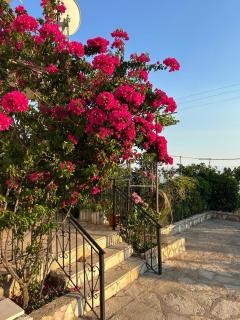 Guesthouse Mateo - Dhërmi - 9