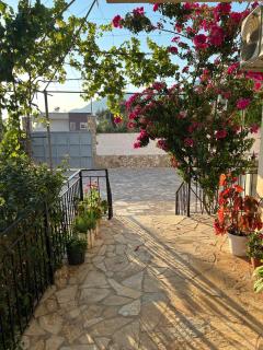 Guesthouse Mateo - Dhërmi - 3