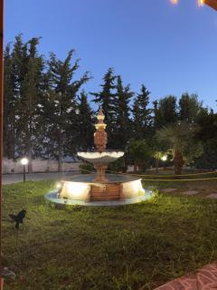 Bar & Hotel AMAXHE - Draç - 4