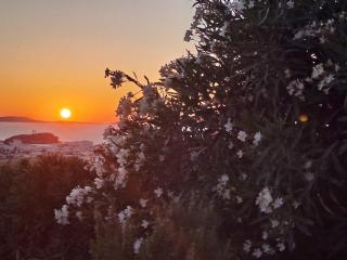 Naxian Sofias garden - Naxos Chora - 6