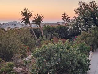 Naxian Sofias garden - Naxos Chora - 7