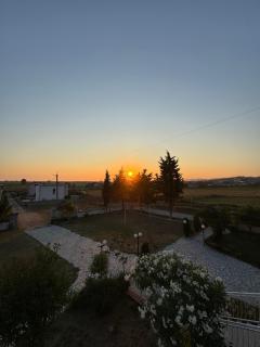 Bar & Hotel AMAXHE - Draç - 8