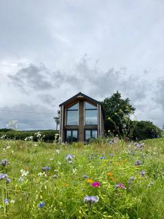 Nettles & Petals - Kenmare - 0