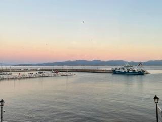 Delfinia Studios - 6