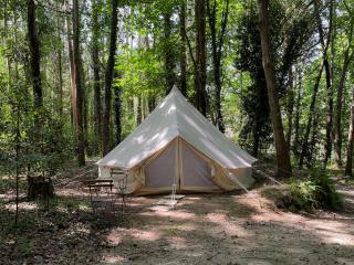 Associação Quinta das Relvas - 6