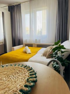 Cozy Studio City Center - Oradea - 5