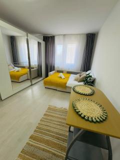 Cozy Studio City Center - Oradea - 4