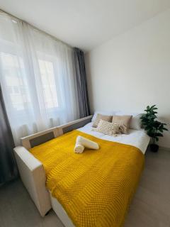 Cozy Studio City Center - Oradea - 1