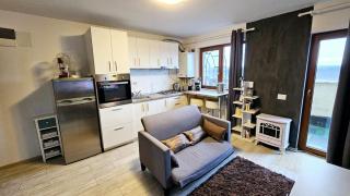 Apartment near Iasi Airport - Iaşi - 5