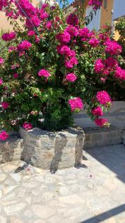 Vana's Apartments - Sarandë - 0