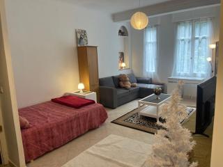 Appt Spacieux, centre ville 3 min a pieds a monaco - 8
