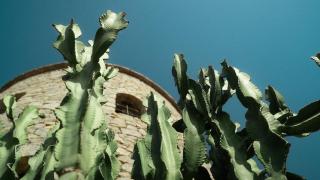 Villa Ocean - Sunset Beach - Baia di Sant'Antoni - 3