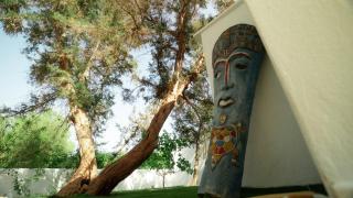 Villa Ocean - Sunset Beach - Baia di Sant'Antoni - 5