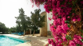 Villa Ocean - Sunset Beach - Baia di Sant'Antoni - 6