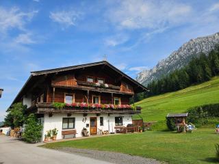 Hinterschiesslinghof - Scheffau am Wilden Kaiser - 9