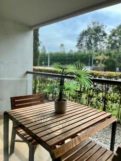 Hotel Rioverde cerca al aeropuerto - Rionegro - 6
