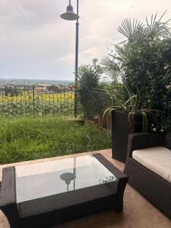 Conchiglia D'oro - Poggio Berni - 5