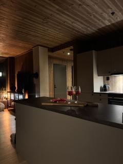 Moderne leilighet ski inn og ski ut med magisk natur - Lii - 6