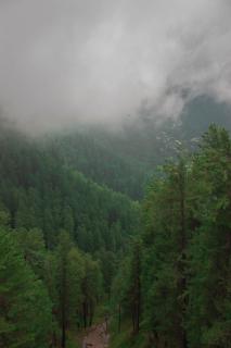 Zesora Nathia Gali - Nathia Gali - 1