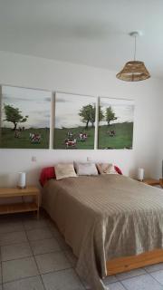 Appartement dans parc - - 3