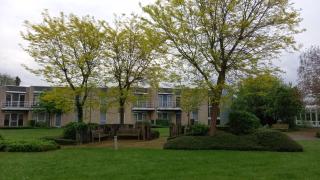 Appartement dans parc - - 2