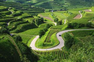 Müller s Ferienhäusle UG - 4