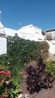 Casa Flora - Costa Calma - 8