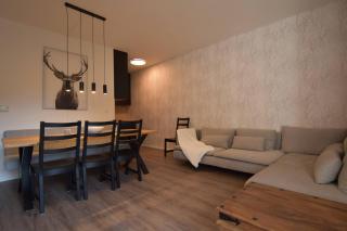 Cosy and Modern Apartment Labska Spindl - Krausovy Boudy - 9