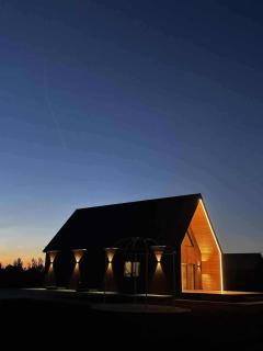 Baltasis beržas - 6