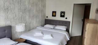 Cosy and Modern Apartment Labska Spindl - Krausovy Boudy - 8