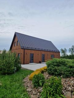 Baltasis beržas - 5