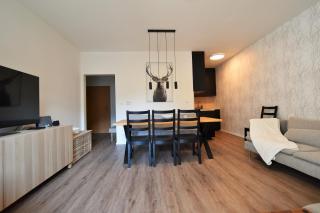 Cosy and Modern Apartment Labska Spindl - Krausovy Boudy - 0