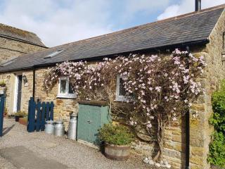 Stanegate Cottage - Greenhead - 8