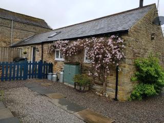 Stanegate Cottage - 9
