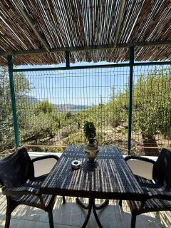 Pashaj Himare Guest House - 1