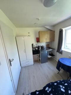 Peckham Rye Guest Studio - Londra - 3