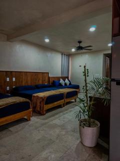 The Apartment - Santuario Apartments - Chemuyil - 1