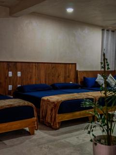 The Apartment - Santuario Apartments - Chemuyil - 7