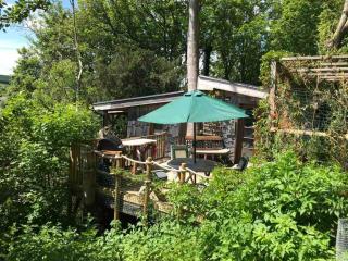 Tree-Tops Treehouse Eco Retreat - Dewlish - 7