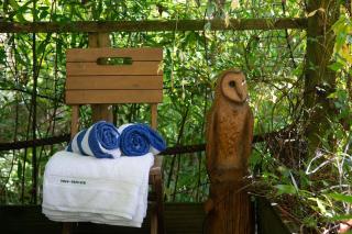 Tree-Tops Treehouse Eco Retreat - Dewlish - 5