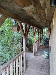 Tree-Tops Treehouse Eco Retreat - Dewlish - 3
