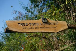Tree-Tops Treehouse Eco Retreat - Dewlish - 1
