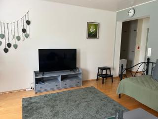 Cityflat by Travel Center - Lappeenranta - 9
