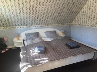 Family holiday house near Legoland with indoor pool and beautiful nature - Egtved - 9