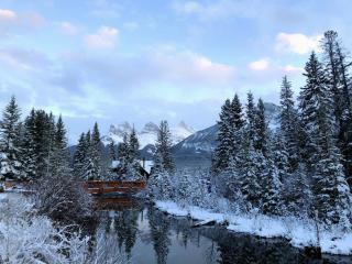 Perfect Location Cozy Canmore Studio - 4