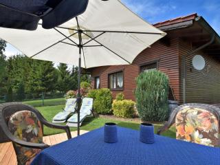 Gorgeous holiday home in Altenfeld Thuringia - Altenfeld - 3